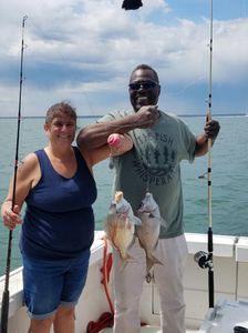 Two scup fish caught while fishing in MA