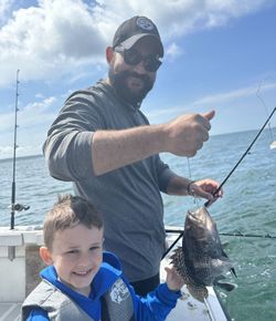 A single sea bass caught while fishing in MA