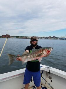 Striped Bass caught in Fairhaven