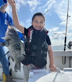 Catch of the day! One sea bass, 18 inches, caught fishing in MA.