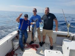Trio of anglers with big 23-inch fish in MA