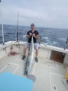 Wahoo Fish caught in MA