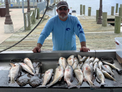 Fishing in LA with 6 fish