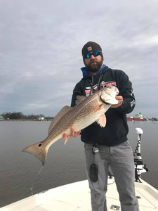 Redfish caught in LA