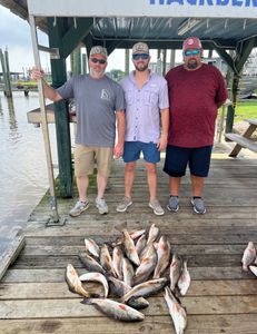 Four redfish caught in LA