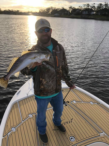 Spotted Weakfish, 15 inches, fishing in LA