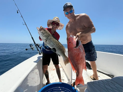 Two gag grouper caught while fishing in Carrabelle