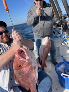 Two anglers fishing in Florida