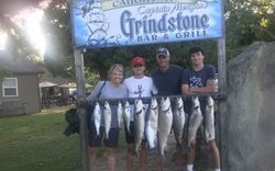 7 bluefish caught in Port Austin, Michigan