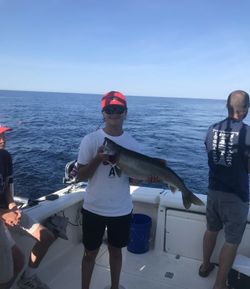 Angler with a big fish caught in Port Austin