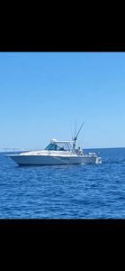 Fishing in MI