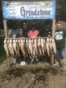 5 bluefish caught in MI, fishing