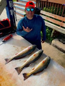 South Padre Island Redfish bliss.