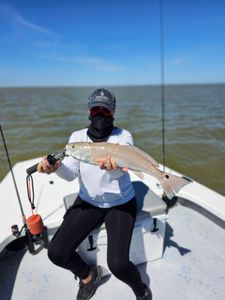 Redfish delight in South Padre Island.