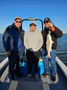 Redfish wonders at South Padre Island.