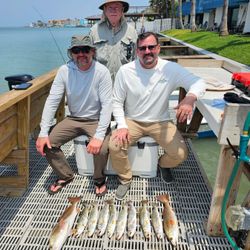 5 redfish and spotted weakfish caught fishing in TX
