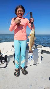 Redfish caught in TX
