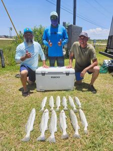 Spotted Weakfish, Redfish, and Spotted Weakfish caught while fishing at South Padre Island
