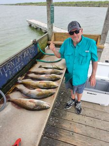 4 blackfin tuna fish caught at South Padre Island