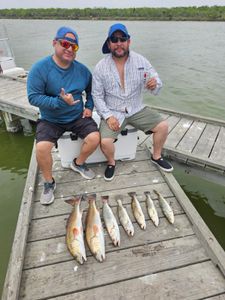 Fishing scene with 5 fish caught at South Padre Island
