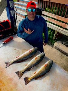 Two 15-inch fish caught while fishing at South Padre Island