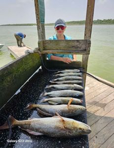 5 spotted weakfish, fishing in TX