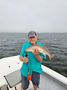 Redfish caught while fishing at South Padre Island