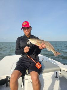 Redfish, 18 inches, caught in TX