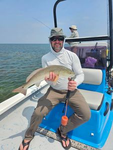 Redfish caught while fishing in TX
