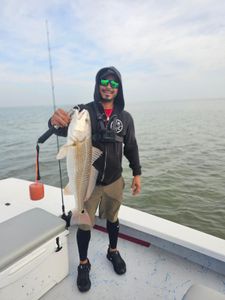 Redfish caught in TX