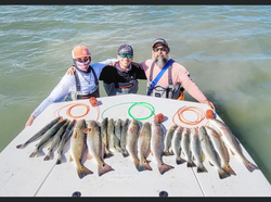 6 redfish caught in TX