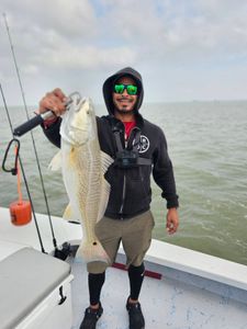 Redfish caught at South Padre Island