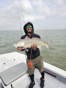 Redfish caught on a fishing trip at South Padre Island
