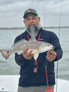 Redfish caught fishing at South Padre Island