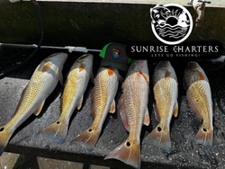 5 redfish caught at South Padre Island
