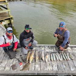 5 redfish caught on South Padre Island