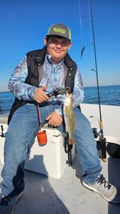 Spotted Weakfish caught while fishing at South Padre Island