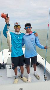 A spotted weakfish measuring 16 inches caught at South Padre Island during fishing