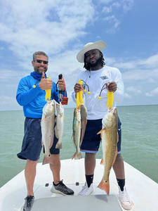 Three redfish caught in TX