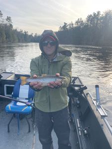 Brown trout catch displayed on fishing boat in Fruitport MI