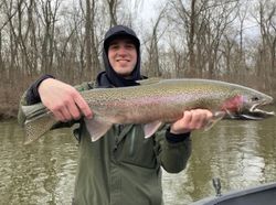 Rainbow trout catch from Fruitport MI fishing trip
