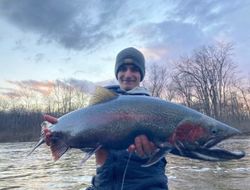 Rainbow trout catch from Fruitport MI fishing trip