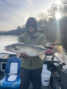 Walleye caught while fishing in Fruitport MI