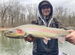 Rainbow trout caught while fishing in Fruitport MI