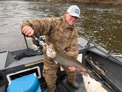 Rainbow trout catch on fishing boat in Fruitport MI