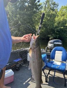 Rainbow trout caught while fishing in Fruitport MI being held up on boat