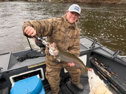 Rainbow trout caught while fishing in Fruitport MI on boat