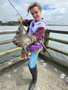 European flounder caught while fishing in OR