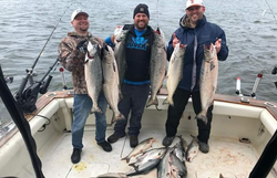 6 bluefish caught while fishing in South Haven