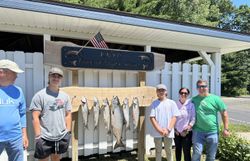Three bluefish caught during a fishing trip in South Haven